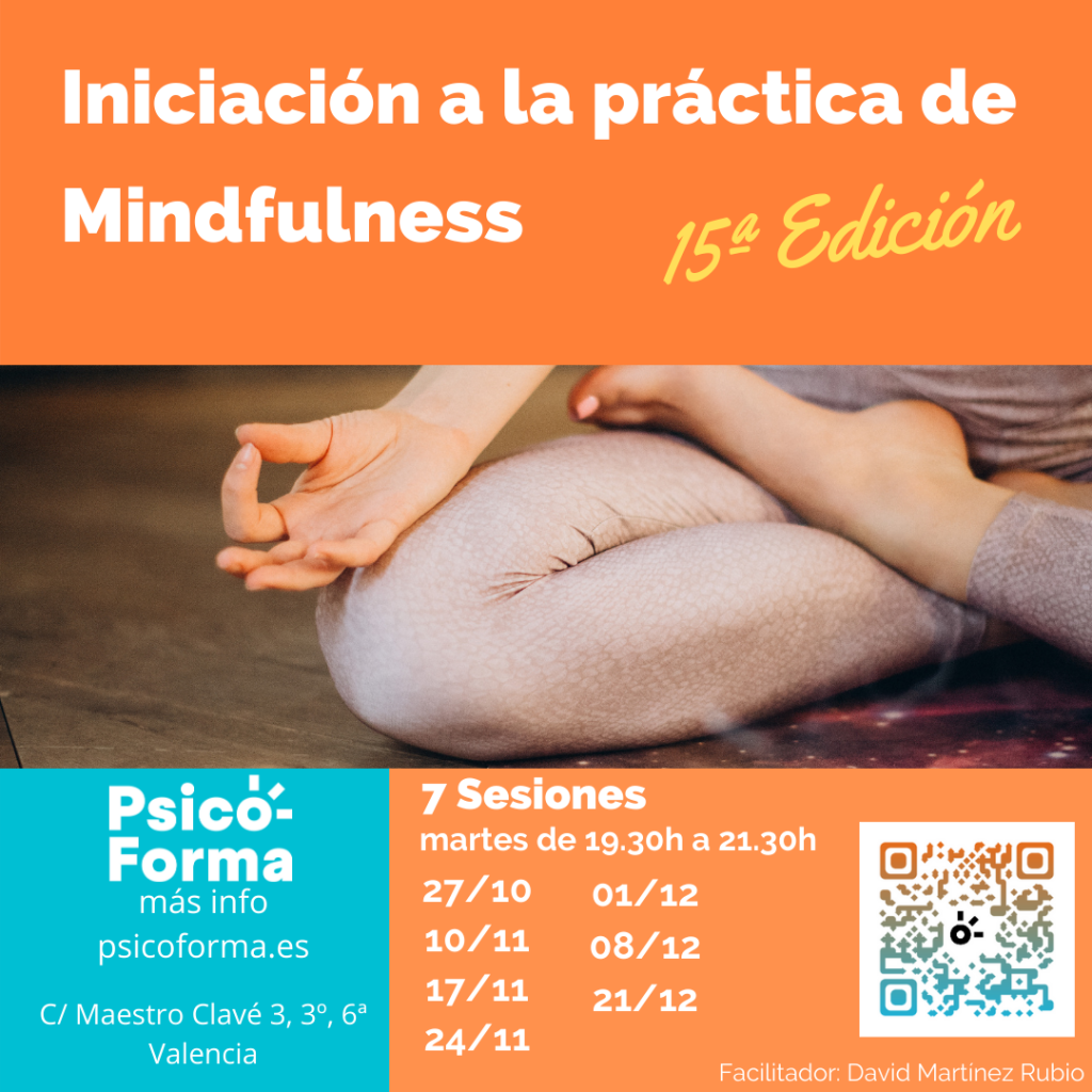 Iniciación A La Práctica De Mindfulness. 15ª Edición - Psicoforma