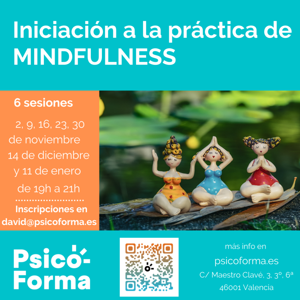 Iniciación A La Práctica De Mindfulness 20ª Edición - Psicoforma